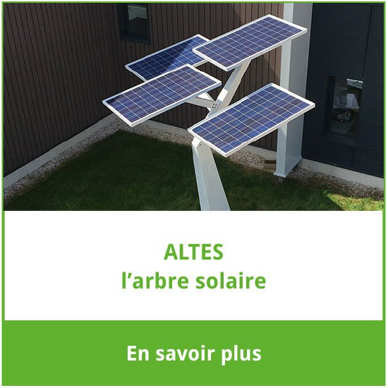 arbre solaire